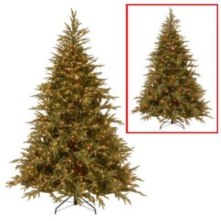 National Tree Company 7.5 ft. Frasier Grande Artificial Christmas Tree with Dual Color LED Lights PEFG4 308LD 75