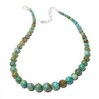 Jay King Mongolian Plateau Turquoise Sterling Silver 18 1/2" Necklace   7604619