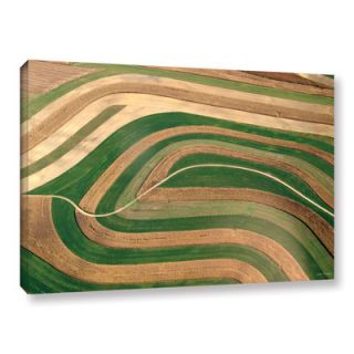 Cropped Crops by Lora Mosier Gallery Wrapped Canvas by ArtWall