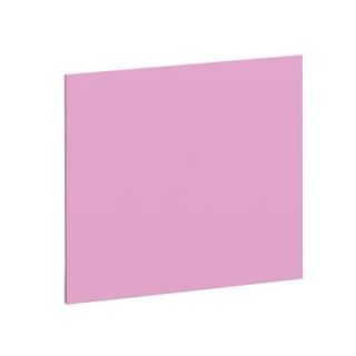 Project Panels FOAMULAR 1 in. x 2 ft. x 2 ft. R 5 Insulation Sheathing PP1