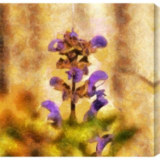 Soul Blossoming III by Roman Solar Painting Print Canvas by Gallery