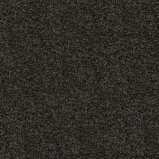 Home Decorators Collection Cranbrook   Color Chic 12 ft. Carpet 6824 TX34 1200 AB