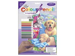 Colour Pencil By Number Kit 8 3/4"X11 3/4" Wash Day Fun
