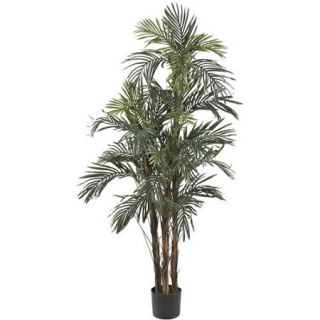 5' Robellini Palm Silk Tree
