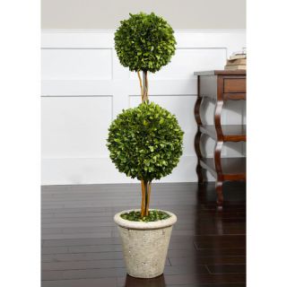 Uttermost Preserved Boxwood 2 Sphere Topiary in Planter