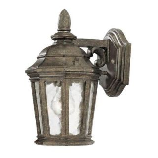 Acclaim Lighting Barrington Collection Wall Mount 1 Light Outdoor Black Coral Light Fixture  Discontinued 200BC