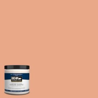 BEHR Premium Plus 8 oz. #240D 4 Ceramic Glaze Interior/Exterior Paint Sample 240D 4PP