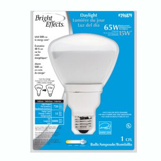 Bright Effects 15 Watt (65W) BR30 Medium Base Daylight (6500K) CFL Bulb
