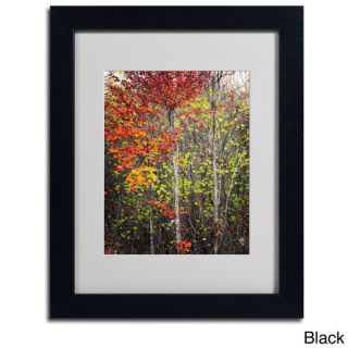 Philippe Sainte Laudy Colour Touch Framed Matted Art   16144614