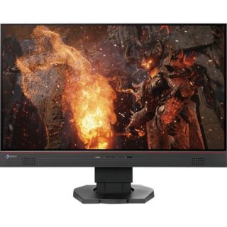 Eizo FORIS FS2434 24 LED LCD Monitor   169   4.90 ms   16611891