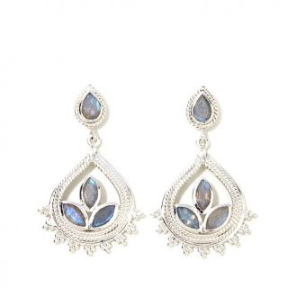 Himalayan Gems™ Pear Shaped Gemstone Drop Sterling Silver Earrings   7930405