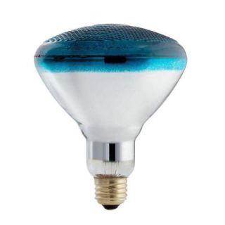 Philips Autism Speaks 100 Watt Incandescent BR38 Blue Flood Light Bulb (6 Pack) 385328