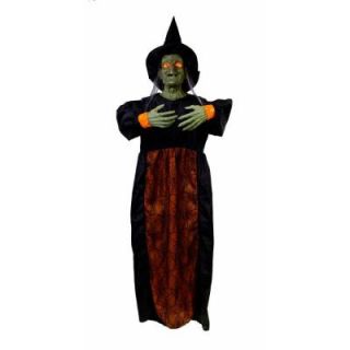 5 ft. Hanging Witch with LED Illumination 5334 63160HDD