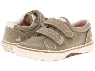 Sperry Top Sider Kids Halyard H&L (Toddler/Little Kid)