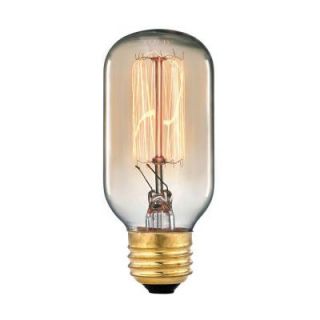 Ogden Collection 60 Watt Incandescent Medium Base Vintage Filament Light Bulb TN 10201