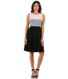 Calvin Klein Colorblock Fit & Flare Dress