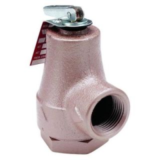 3/4 in. Cast Iron Water Pressure Safety Relief Valve 374A