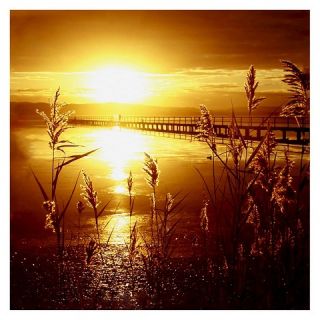 Beata Czyzowska Young My Date with the Sun Canvas Art   Multi Colored
