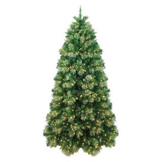 7ft Pre Lit Gold Tip Cashmere Pine Christmas Tree Clear Lights