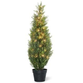 National Tree Company 36 Lighted Arborvitae