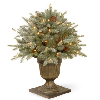 National Tree Company Frosted Arctic Spruce 24 inch Porch Bush with