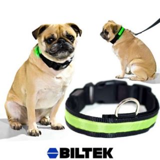 Biltek® Green LED Light Dog Collar   Medium   Dog Pet Night Safety Fashionable Flashing Light Up Collar Nylon Large Adjustable