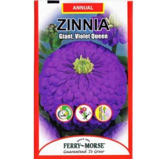 Ferry Morse 700 mg Zinnia Giant Violet Queen Seed 1177