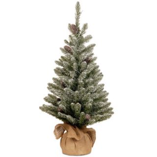 National Tree Co. Snowy Concolor Fir 3 Green Artificial Christmas