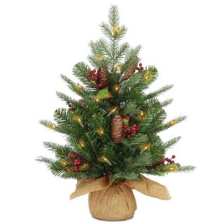 National Tree Co. 2 Nordic Spruce Christmas Tree with Clear Lights