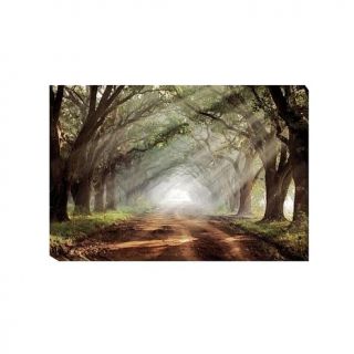 Mike Jones "Evergreen Plantation" Gallery Wrapped Giclee Canvas Wall Art   Large   7871675